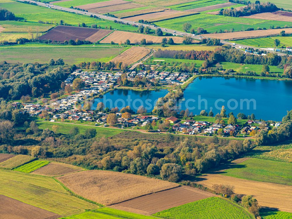 Aerial photograph Friesenheim - Autumnal discolored vegetation view camping with caravans and tents in Friesenheim at the Schuttern quarry pond in the state Baden-Wurttemberg, Germany