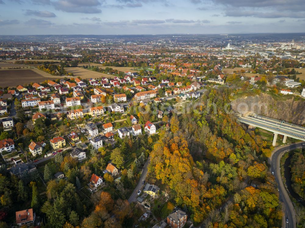 Aerial image Dresden - Autumnal colored vegetation view of Doelzschen in Dresden in the state of Saxony, Germany