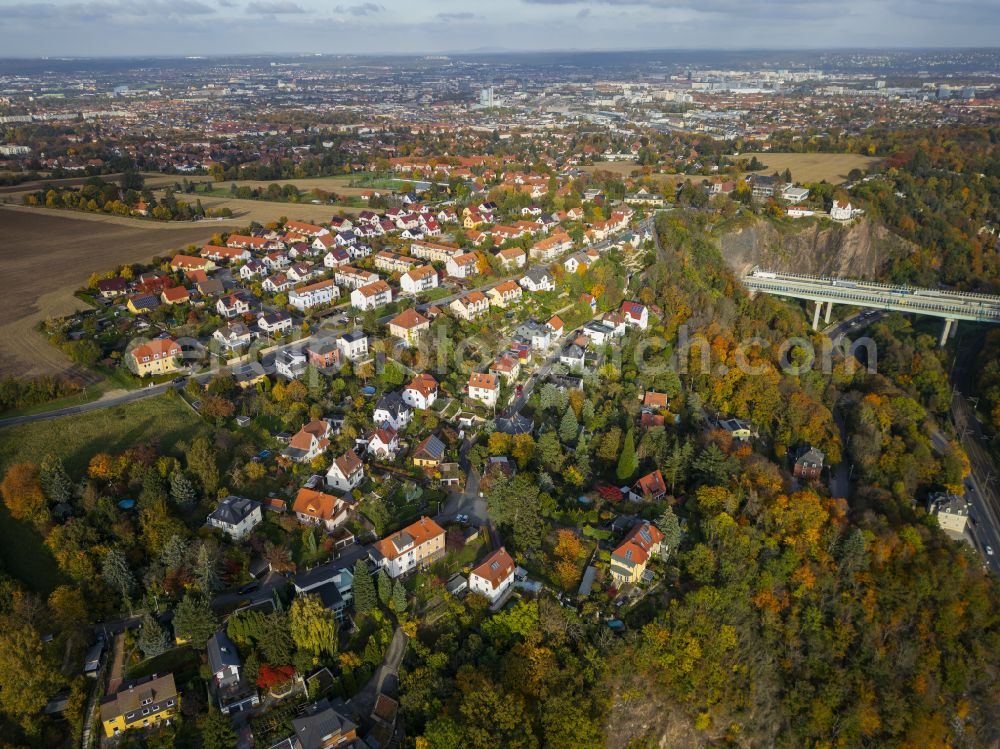 Dresden from above - Autumnal colored vegetation view of Doelzschen in Dresden in the state of Saxony, Germany