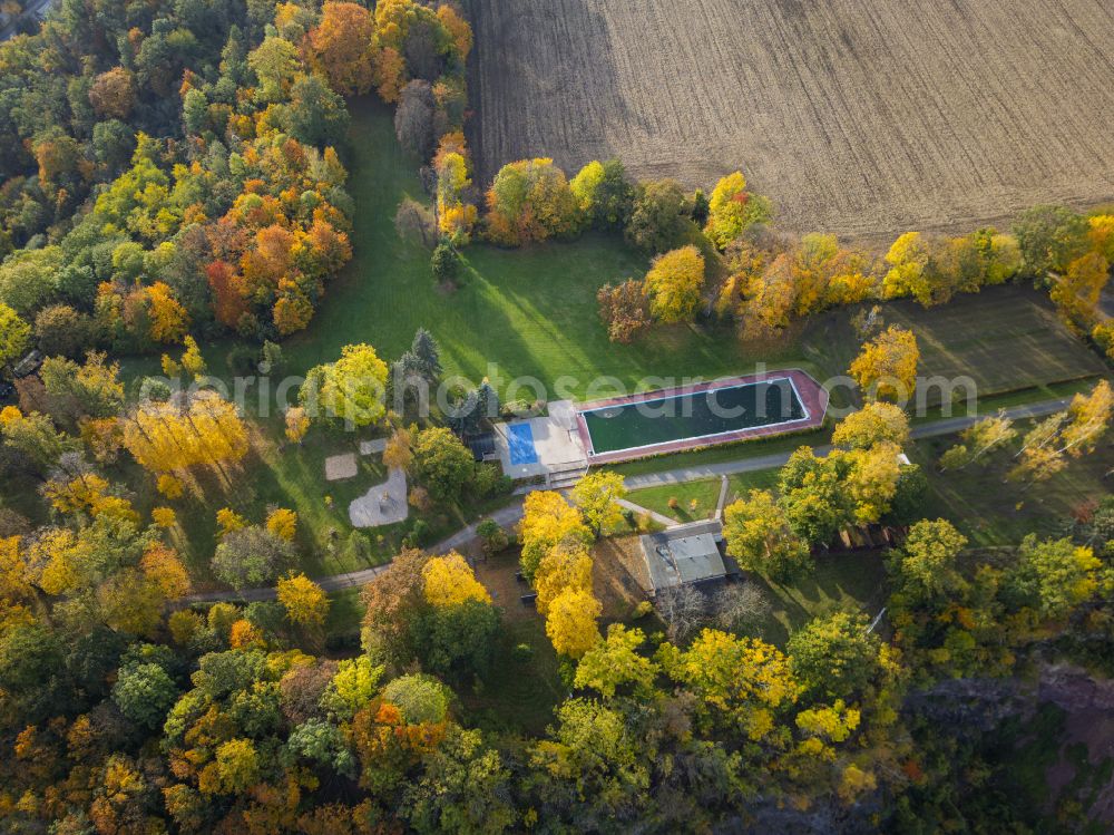 Dresden from above - Autumnal colored vegetation view of Luftbad Doelzschen in Dresden in the state of Saxony, Germany