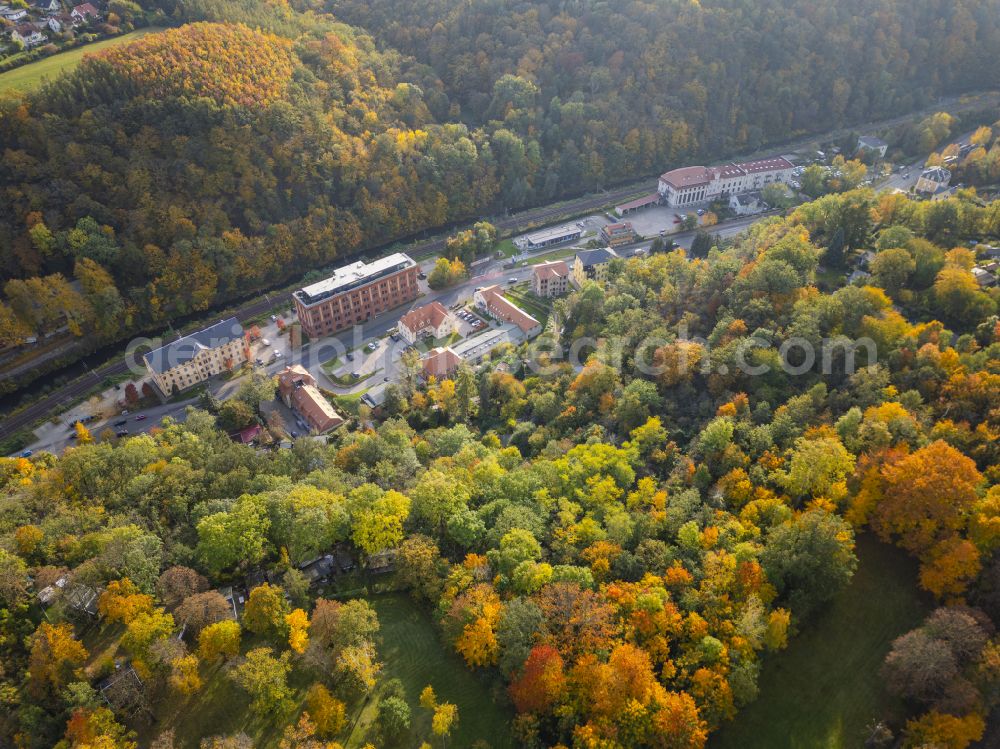 Dresden from the bird's eye view: Autumnal colored vegetation view of Luftbad Doelzschen in Dresden in the state of Saxony, Germany