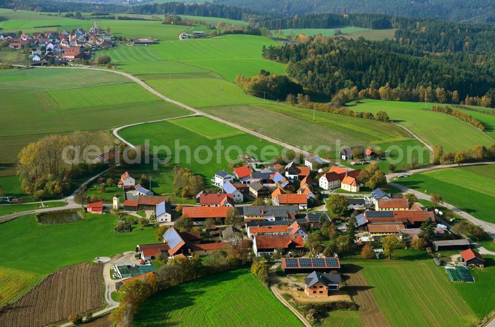 Pamsendorf from the bird's eye view: Autumnal discolored vegetation view village view in Pamsendorf in the state Bavaria, Germany