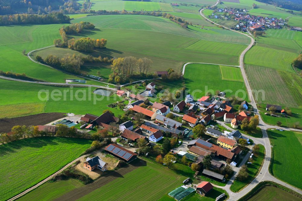 Aerial photograph Pamsendorf - Autumnal discolored vegetation view village view in Pamsendorf in the state Bavaria, Germany