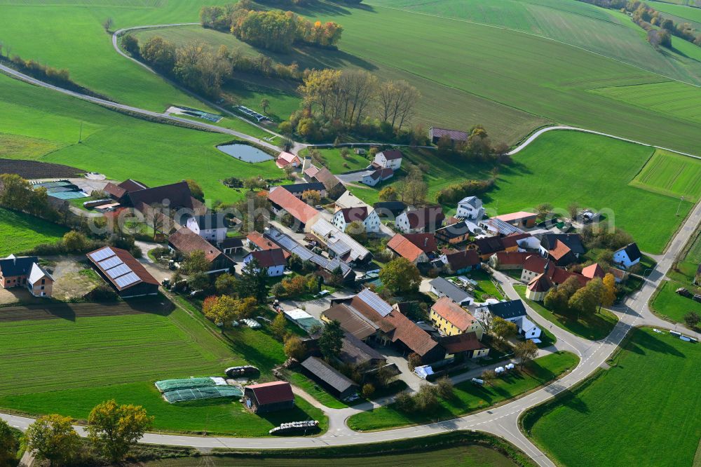 Pamsendorf from above - Autumnal discolored vegetation view village view in Pamsendorf in the state Bavaria, Germany