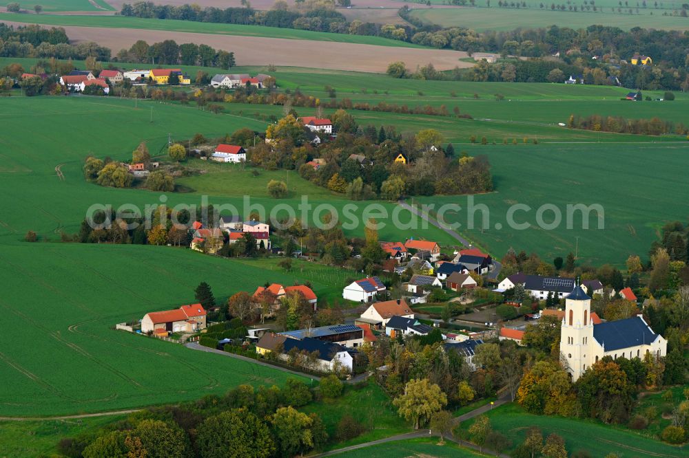 Aerial image Polditz - Autumnal discolored vegetation view village view in Polditz in the state Saxony, Germany