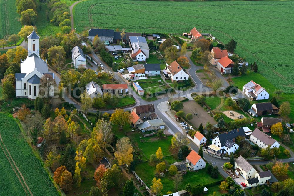 Polditz from above - Autumnal discolored vegetation view village view in Polditz in the state Saxony, Germany