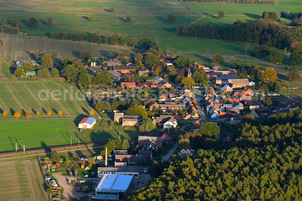 Aerial image Reckenzin - Autumnal discolored vegetation view village view in Reckenzin in the state Brandenburg, Germany