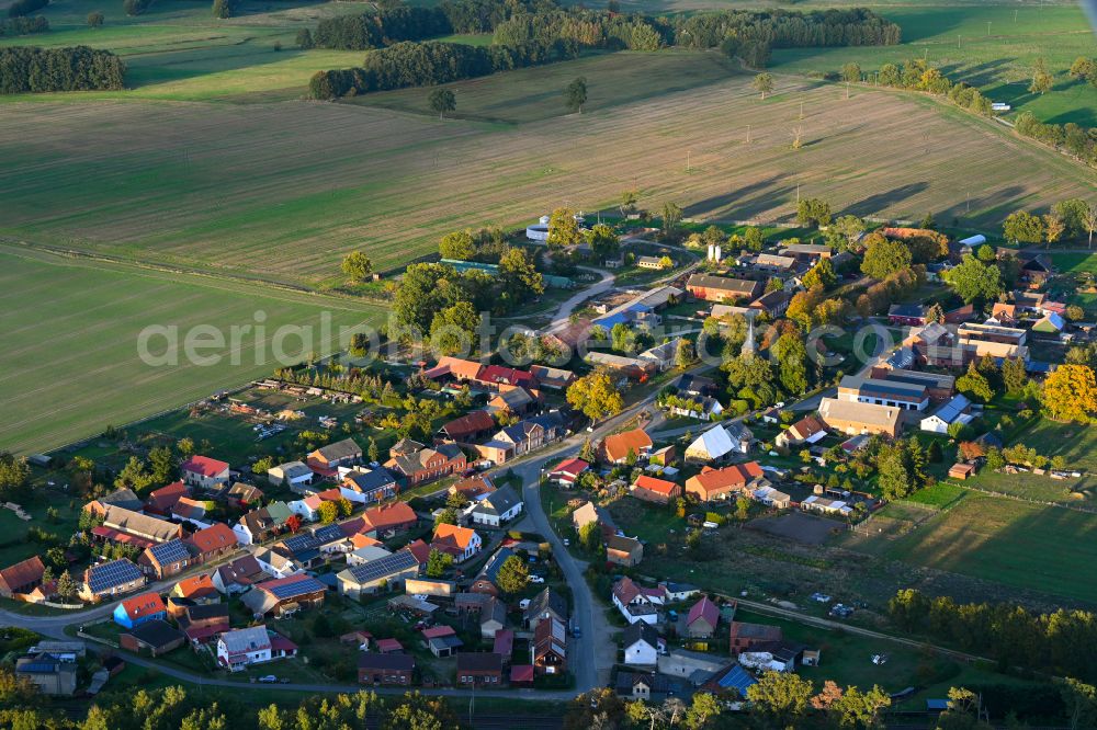 Reckenzin from the bird's eye view: Autumnal discolored vegetation view village view in Reckenzin in the state Brandenburg, Germany