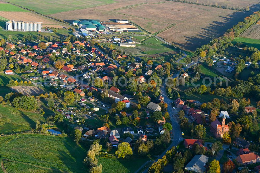 Redefin from the bird's eye view: Autumnal discolored vegetation view village view of Redefin in the state Mecklenburg - Western Pomerania