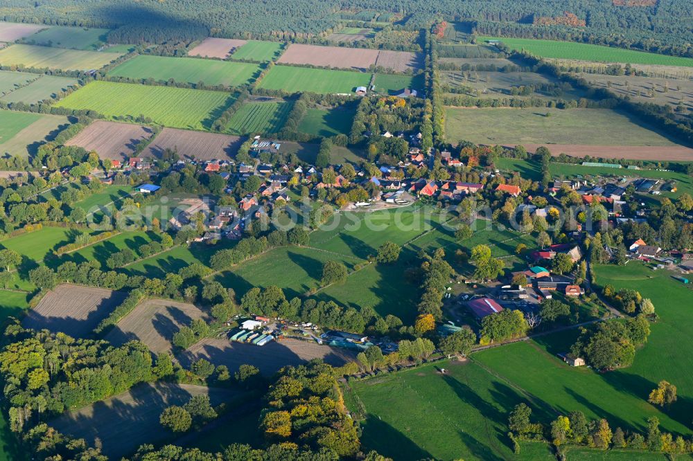 Fitzen from above - Autumnal discolored vegetation view agricultural land and field boundaries surround the settlement area of the village in Fitzen in the state Schleswig-Holstein, Germany