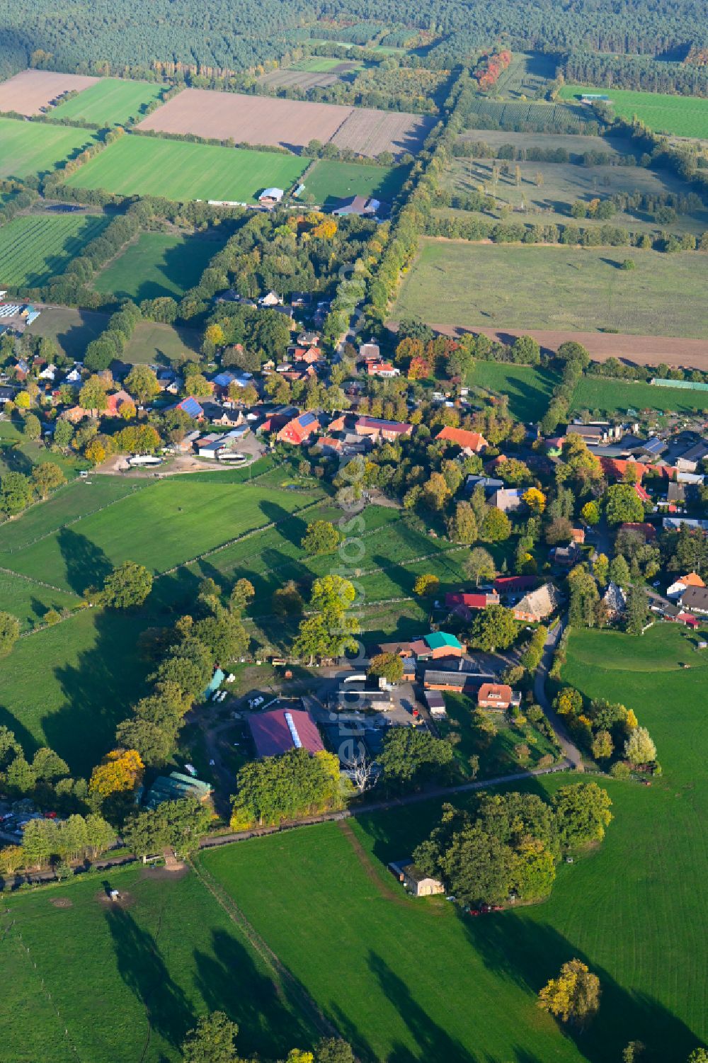 Fitzen from the bird's eye view: Autumnal discolored vegetation view agricultural land and field boundaries surround the settlement area of the village in Fitzen in the state Schleswig-Holstein, Germany