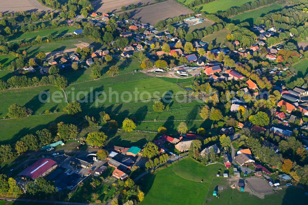 Aerial image Fitzen - Autumnal discolored vegetation view agricultural land and field boundaries surround the settlement area of the village in Fitzen in the state Schleswig-Holstein, Germany