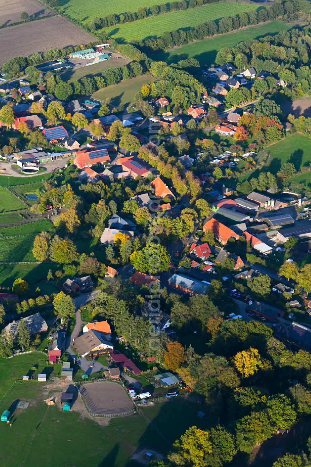 Aerial photograph Fitzen - Autumnal discolored vegetation view agricultural land and field boundaries surround the settlement area of the village in Fitzen in the state Schleswig-Holstein, Germany