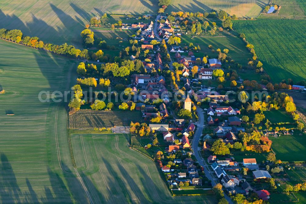 Aerial image Giesensdorf - Autumnal discolored vegetation view agricultural land and field boundaries surround the settlement area of the village in Giesensdorf in the state Brandenburg, Germany