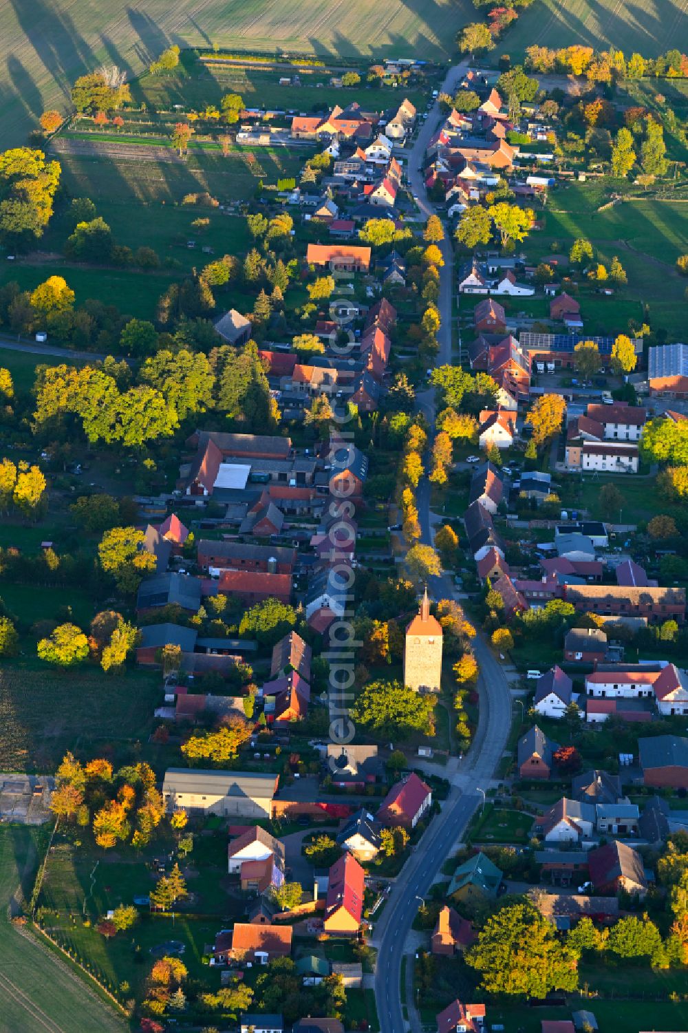 Aerial photograph Giesensdorf - Autumnal discolored vegetation view agricultural land and field boundaries surround the settlement area of the village in Giesensdorf in the state Brandenburg, Germany