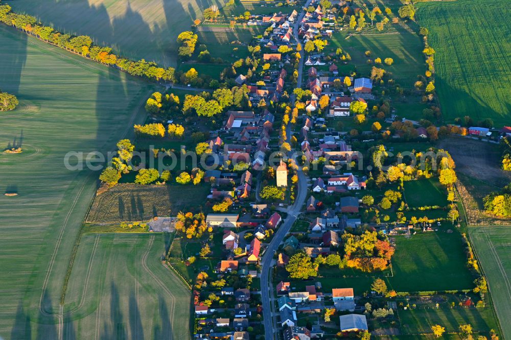 Giesensdorf from above - Autumnal discolored vegetation view agricultural land and field boundaries surround the settlement area of the village in Giesensdorf in the state Brandenburg, Germany