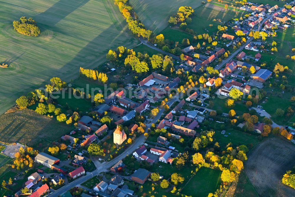 Giesensdorf from the bird's eye view: Autumnal discolored vegetation view agricultural land and field boundaries surround the settlement area of the village in Giesensdorf in the state Brandenburg, Germany