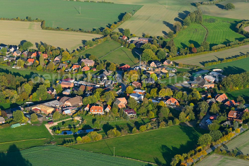 Aerial photograph Groß Pampau - Autumnal discolored vegetation view agricultural land and field boundaries surround the settlement area of the village in Gross Pampau in the state Schleswig-Holstein, Germany