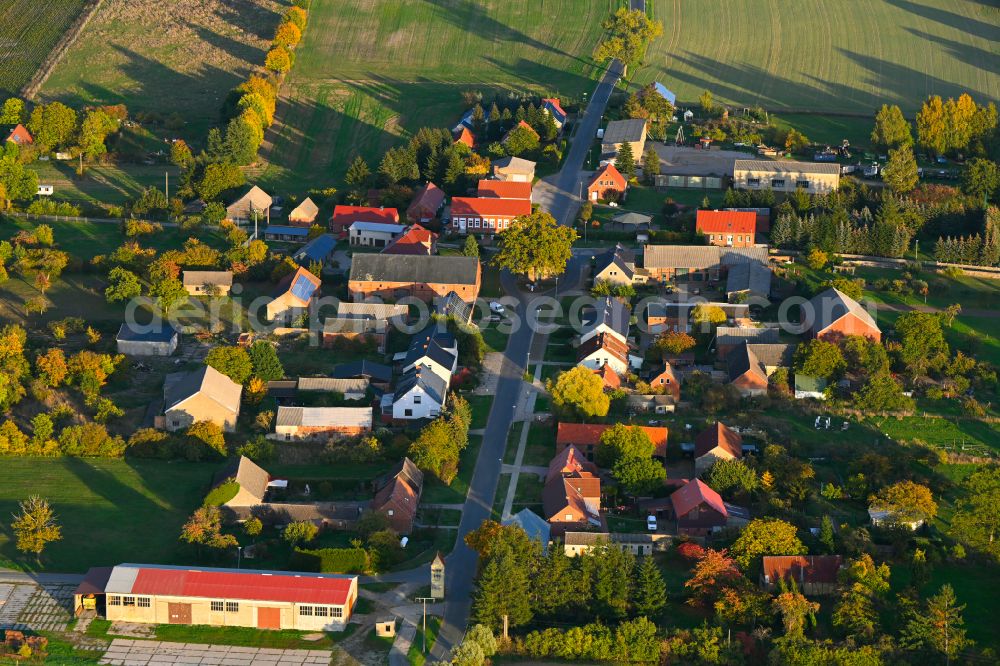 Kribbe from above - Autumnal discolored vegetation view agricultural land and field boundaries surround the settlement area of the village in Kribbe in the state Brandenburg, Germany