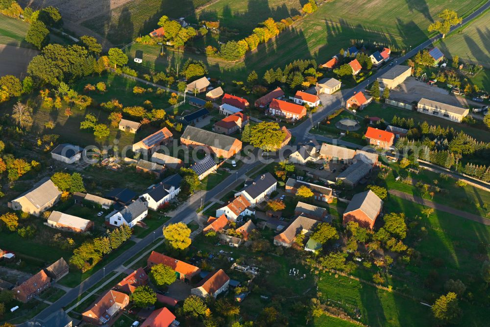 Kribbe from the bird's eye view: Autumnal discolored vegetation view agricultural land and field boundaries surround the settlement area of the village in Kribbe in the state Brandenburg, Germany