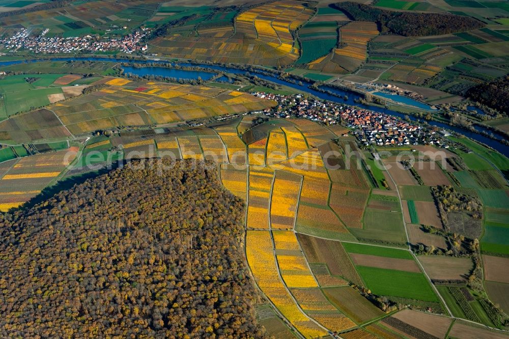 Obereisenheim from the bird's eye view: Autumnal discolored vegetation view village center on the edge of vineyards and wineries on the river Main in the wine-growing region in Obereisenheim in the state Bavaria, Germany