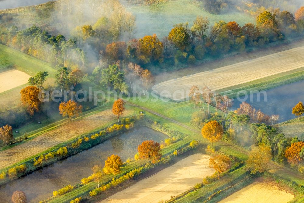 Aerial image Haltern am See - Autumnal discolored vegetation view haze over the sewage treatment plant basin of Gelsenwasser AG in Haltern am See in the Ruhr area in the state of North Rhine-Westphalia, Germany