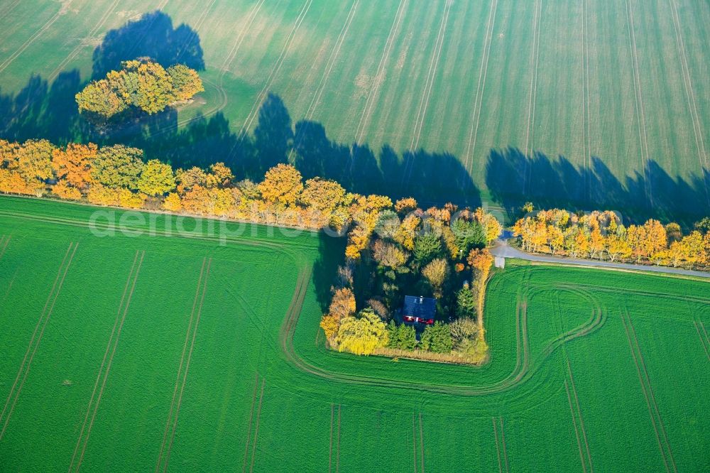 Neuenrost from above - Autumnal discolored vegetation view at a homestead of a farm in Neuenrost in the state Mecklenburg - Western Pomerania, Germany