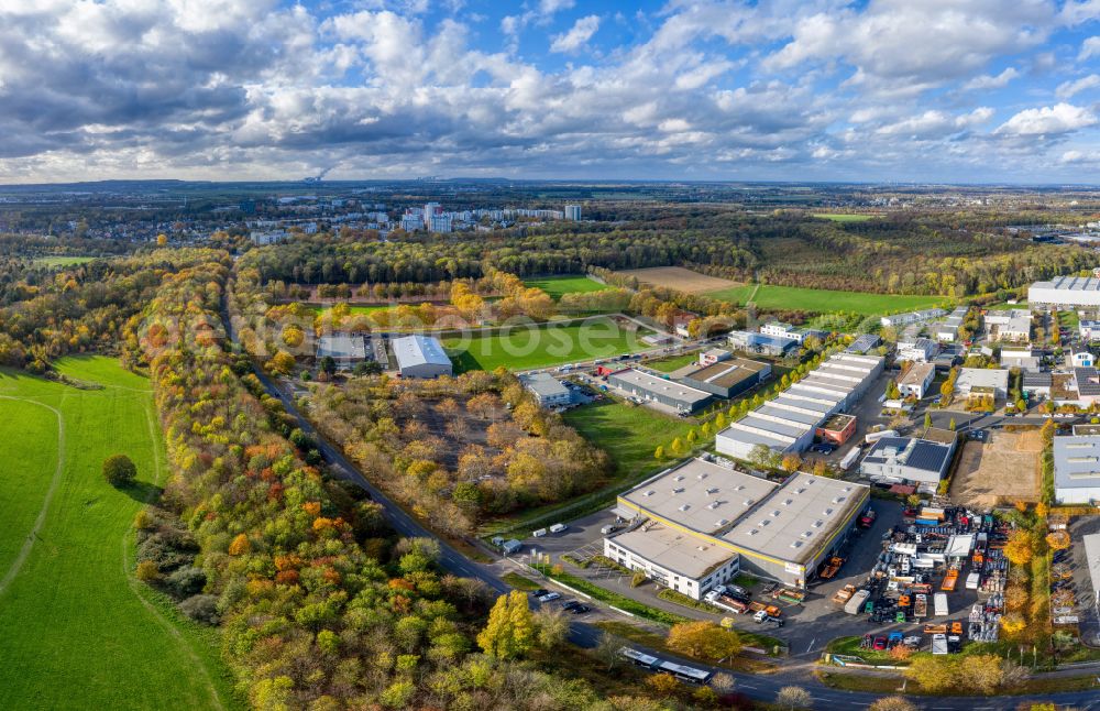 Aerial image Köln - Autumnal discolored vegetation view ensemble of sports grounds Bezirkssportanlage Bocklemuend on street Heinrich-Rohlmann-Strasse - Hugo-Eckener-Strasse in the district Ossendorf in Cologne in the state North Rhine-Westphalia, Germany