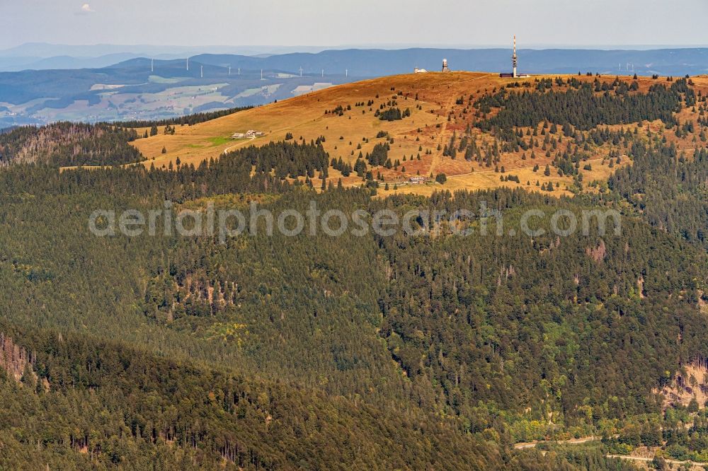 Feldberg (Schwarzwald) from the bird's eye view: Autumnal discolored vegetation view in Feldberg (Schwarzwald) in the state Baden-Wurttemberg, Germany