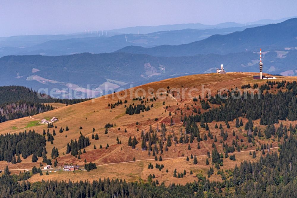 Aerial image Feldberg (Schwarzwald) - Autumnal discolored vegetation view in Feldberg (Schwarzwald) in the state Baden-Wurttemberg, Germany