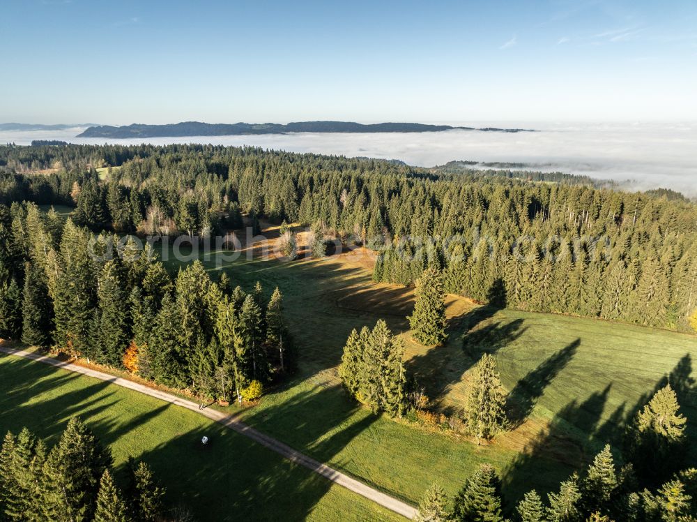 Sulzberg from the bird's eye view: Autumnal colored vegetation view landscape photo with low level clouds on a fall morning in the Bregenz Forest Mountains in Sulzberg in Vorarlberg, Austria