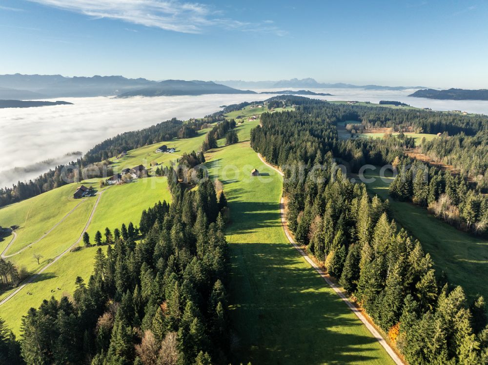 Aerial image Sulzberg - Autumnal colored vegetation view landscape photo with low level clouds on a fall morning in the Bregenz Forest Mountains in Sulzberg in Vorarlberg, Austria