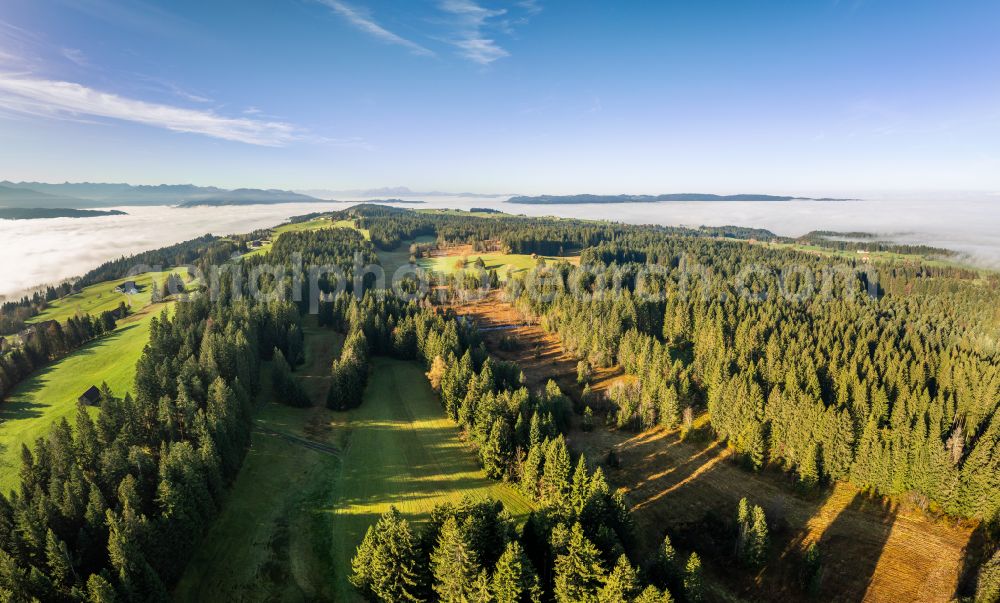 Aerial image Sulzberg - Autumnal colored vegetation view landscape photo with low level clouds on a fall morning in the Bregenz Forest Mountains in Sulzberg in Vorarlberg, Austria