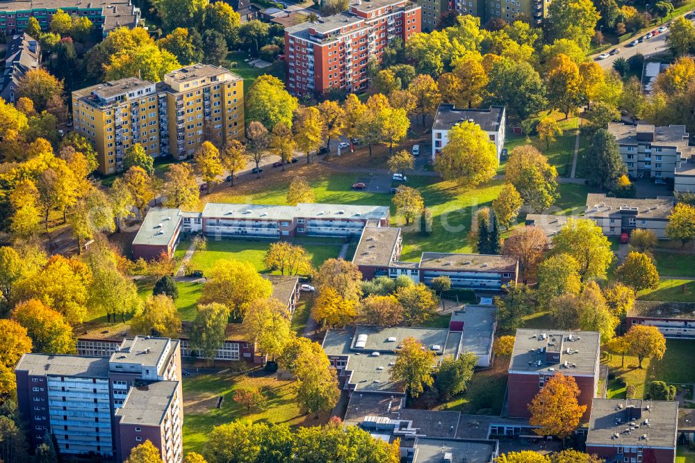 Aerial photograph Gladbeck - Autumnal discolored vegetation view building of the retirement center Elisabeth-Brune-Seniorenzentrum on street Enfieldstrasse in Gladbeck at Ruhrgebiet in the state North Rhine-Westphalia, Germany