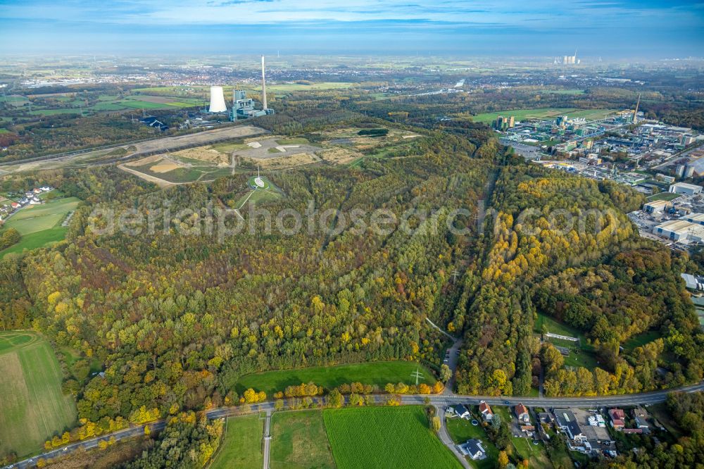 Bergkamen from the bird's eye view: Autumnal discolored vegetation view reclamation site of the former mining dump Halde Grosses Holz in Bergkamen at Ruhrgebiet in the state North Rhine-Westphalia, Germany