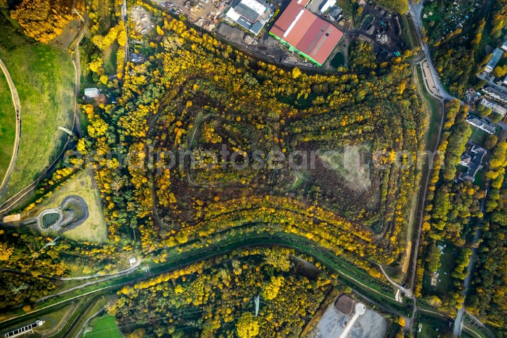 Aerial image Gladbeck - Autumnal discolored vegetation view Recultivation terrain of the hills of the former mining dump Mottbruchhalde Nature Reserve Natroper field in Gladbeck in North Rhine-Westphalia