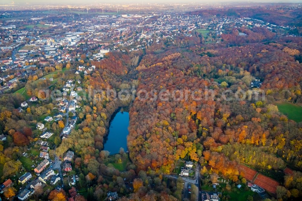 Aerial photograph Witten - Autumnal discolored vegetation view city area with outside districts and inner city area in Witten in the state North Rhine-Westphalia, Germany