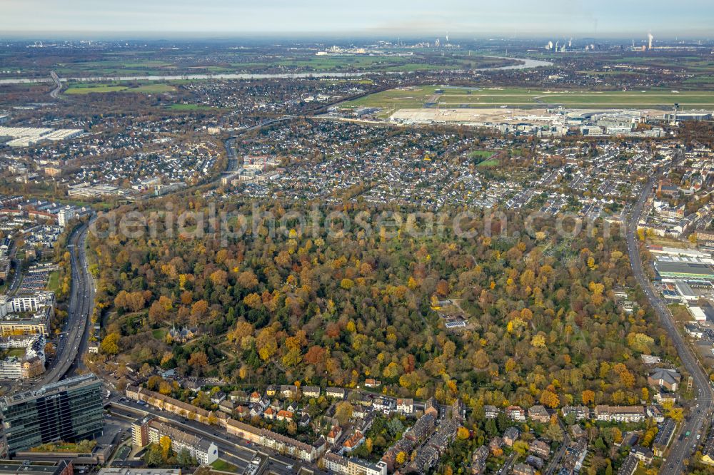 Aerial image Düsseldorf - Autumnal discolored vegetation view grave rows on the grounds of the cemetery in Duesseldorf in the state North Rhine-Westphalia, Germany