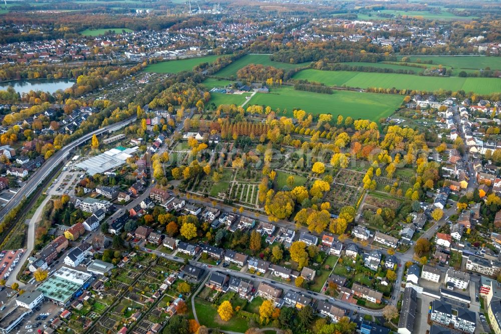 Aerial image Gladbeck - Autumnal discolored vegetation view Grave rows on the grounds of the cemetery in Gladbeck in the state North Rhine-Westphalia, Germany