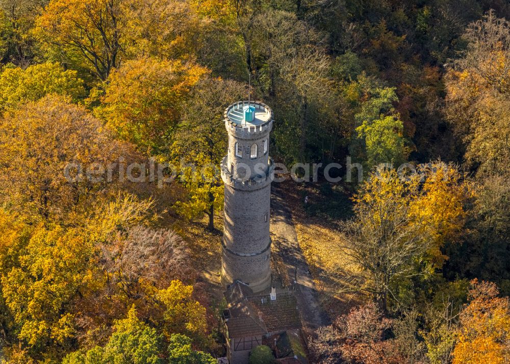 Aerial image Witten - Autumnal discolored vegetation view tree tops in a deciduous forest - forest area in the urban area in Witten in the state North Rhine-Westphalia, Germany