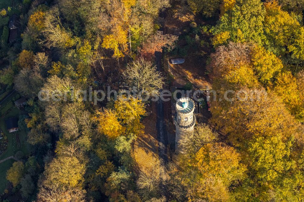 Witten from above - Autumnal discolored vegetation view tree tops in a deciduous forest - forest area in the urban area in Witten in the state North Rhine-Westphalia, Germany