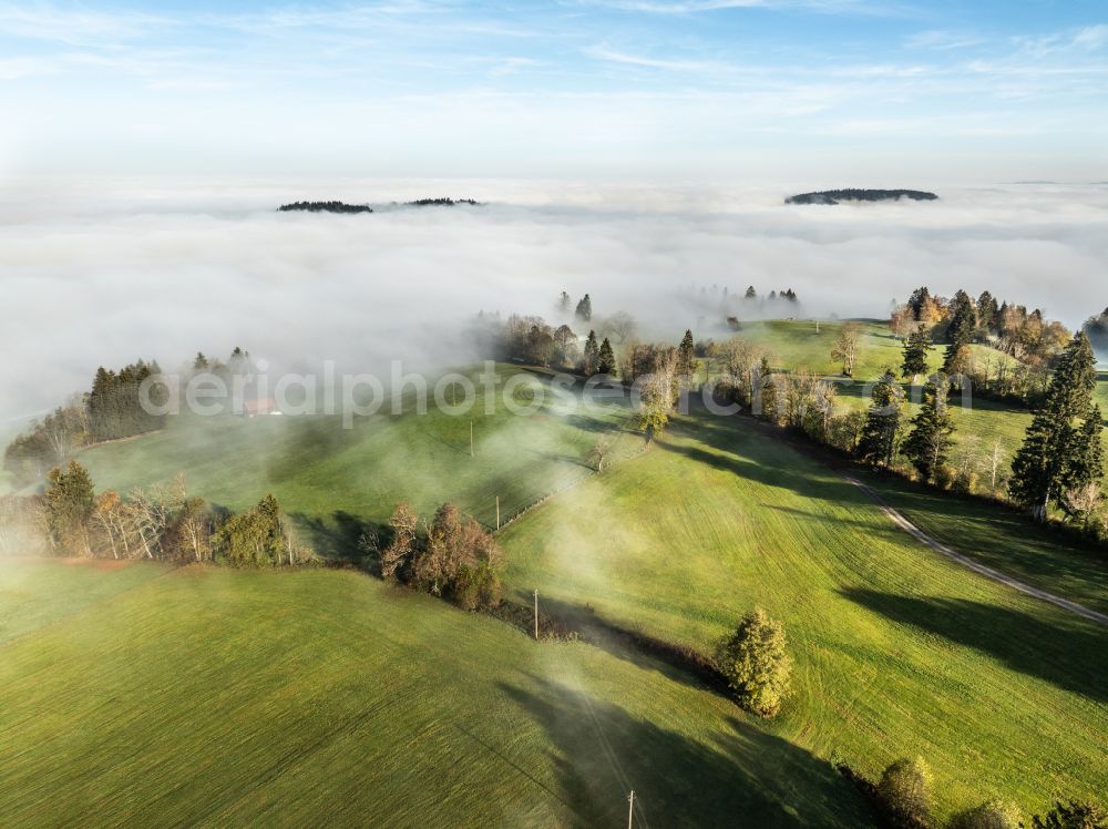 Oberreute from above - Autumnal discolored vegetation view autumnal colored vegetation view. Weather-related fog banks and cloud layer over forest and meadow landscape in the Allgaeu in the district of Oberreute in Irsengund in the federal state of Bavaria, Germany