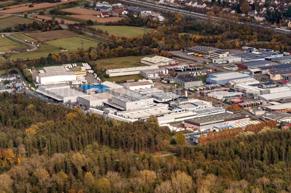 Appenweier from the bird's eye view: Autumnal discolored vegetation view industrial and commercial area Industriestr. in Appenweier in the state Baden-Wuerttemberg