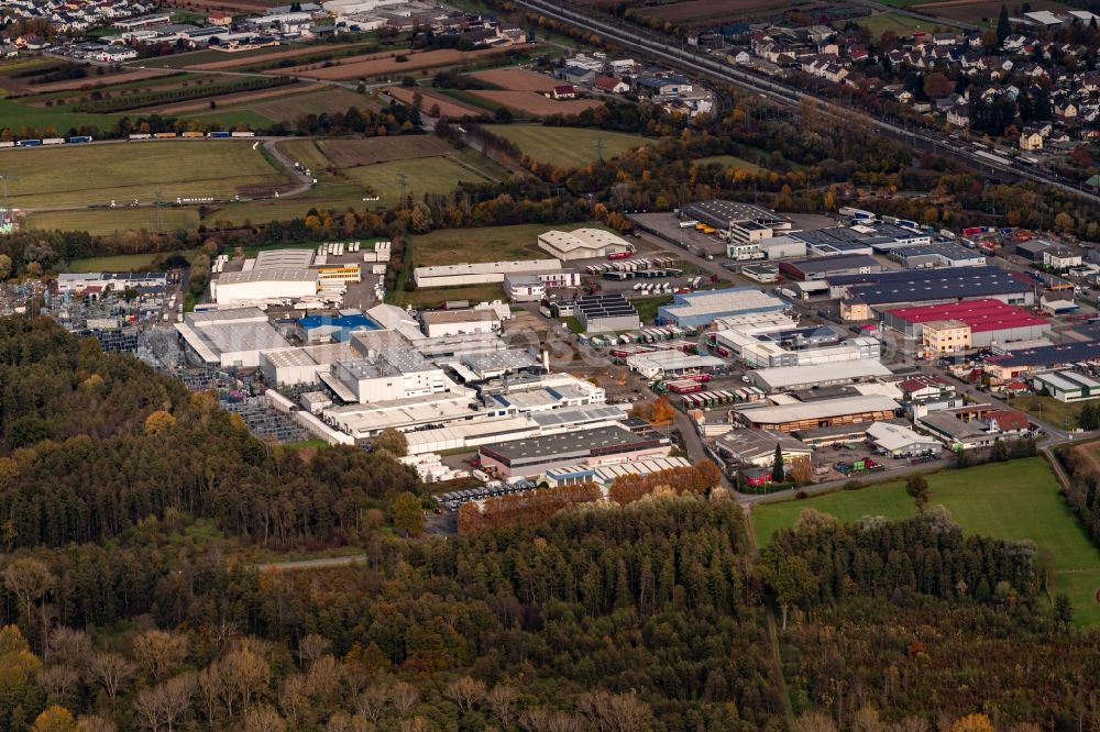 Aerial photograph Appenweier - Autumnal discolored vegetation view industrial and commercial area Industriestr. in Appenweier in the state Baden-Wuerttemberg