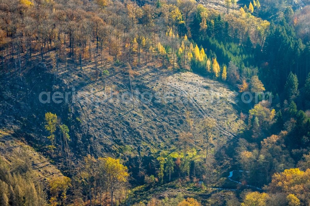 Arnsberg from above - Autumnal discolored vegetation view bald area of a cleared forest along the Triftweg in Arnsberg at Sauerland in the state North Rhine-Westphalia, Germany