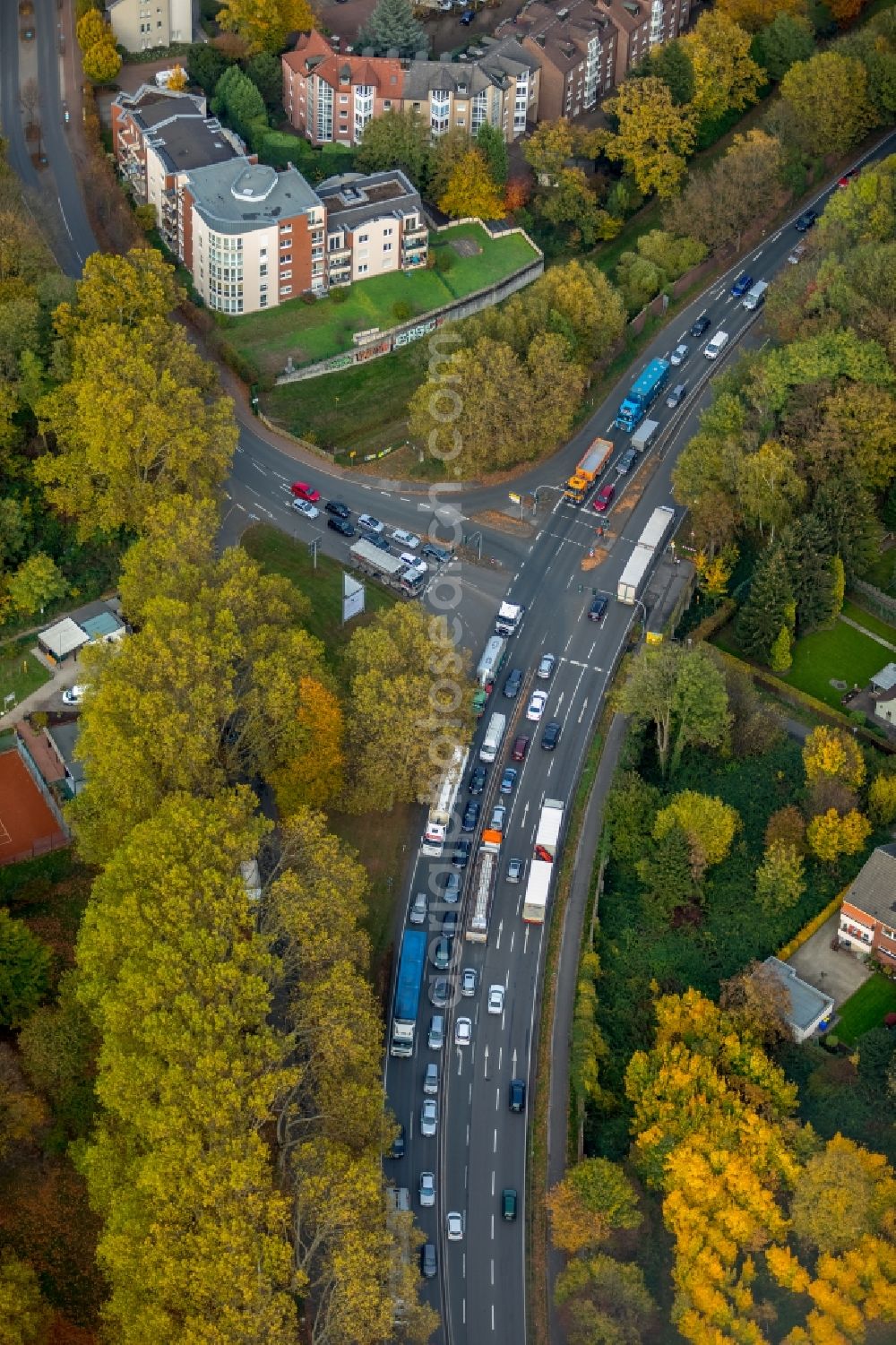 Gladbeck from above - Autumnal discolored vegetation view Road over the crossroads on Schuetzenstrasse in Gladbeck in the state North Rhine-Westphalia, Germany