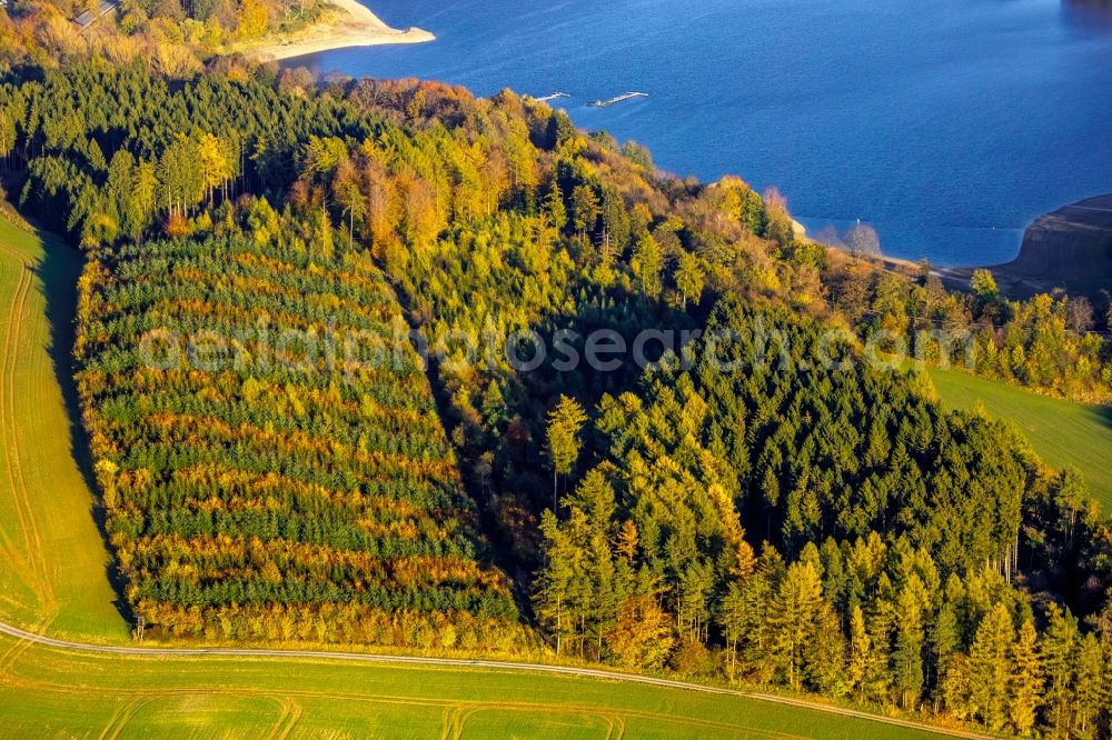 Meschede from above - Autumnal discolored vegetation view treetops in a forest area in Meschede in the state North Rhine-Westphalia, Germany