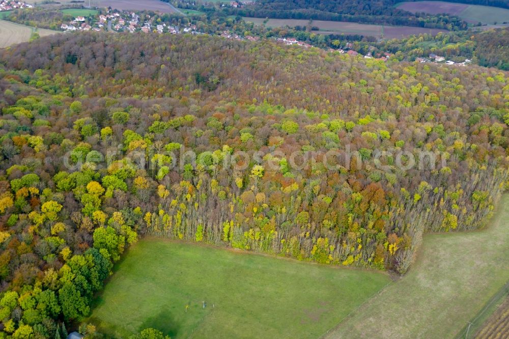 Rosdorf from above - Autumnal discolored vegetation view treetops in a forest area in Rosdorf in the state Lower Saxony, Germany