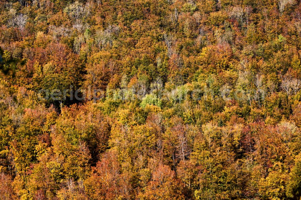 Aerial photograph Wiesensteig - Autumnal colored vegetation view of deciduous and mixed forest treetops in a forest area on the road Heidentalweg in Wiesensteig Swabian Alb in the state of Baden-Wuerttemberg, Germany