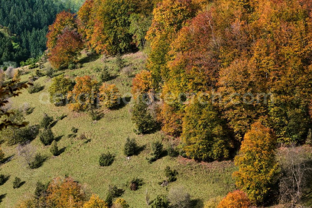 Wiesensteig from above - Autumnal colored vegetation view of deciduous and mixed forest treetops in a forest area on the road Heidentalweg in Wiesensteig Swabian Alb in the state of Baden-Wuerttemberg, Germany